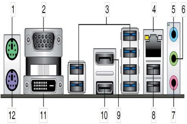 Back panel