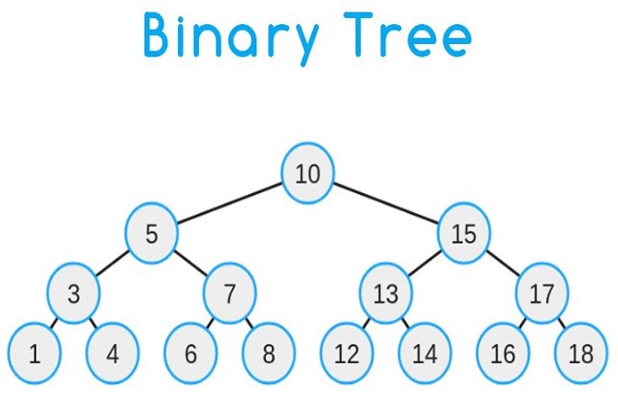 Các thao tác cơ bản trên cây nhị phân (Binary Tree)